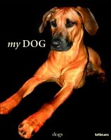 My Dog